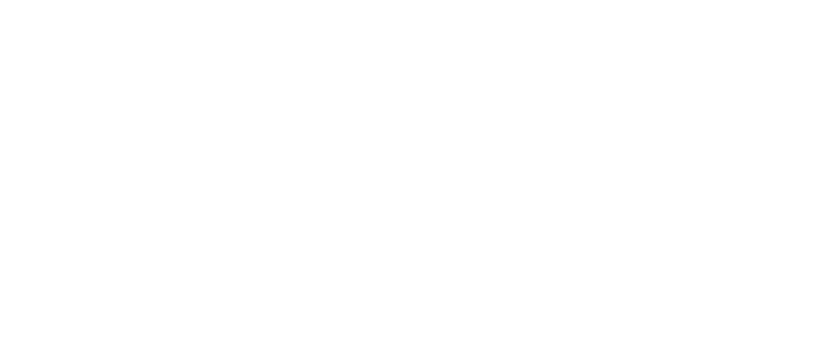 BD Fire Logo